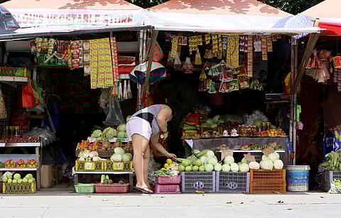 (Photo by Analy Labor)