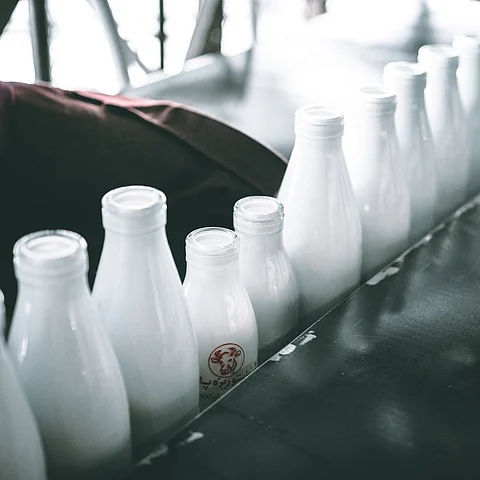Dairy industry: Transitioning towards modernization