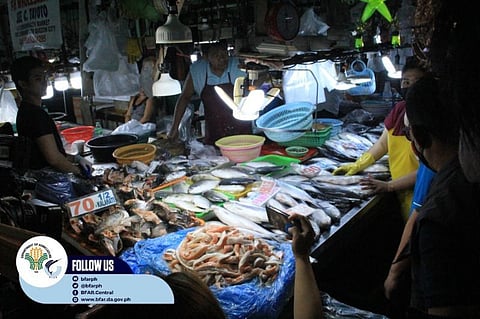Moratorium on imported fish ban issued