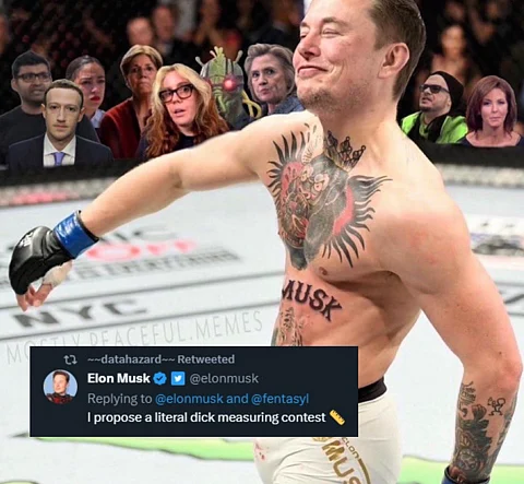 Screenshot from Elon Musk (Parody) / Twitter