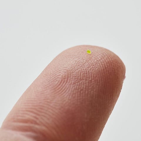 (Photo from MSCHF / Instagram)