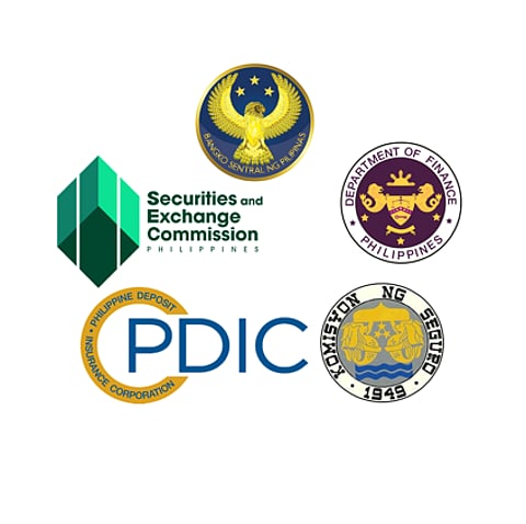 Stability body crafts crisis pre-emptive rules