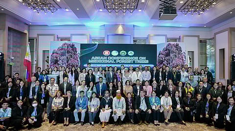 (Photo from DENR-ERDB / Facebook)