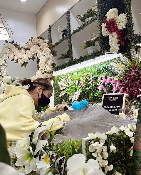 Photograph courtesy of IG/Janella Salvador
Janella Salvador mourns the passing of her cat Fluffy.