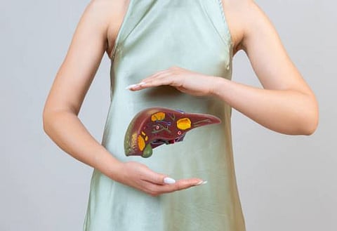 Being the second largest detox organ, the liver works extremely hard to filter everything you eat or drink.
