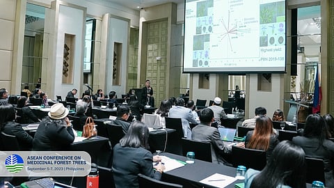 (Photo courtesy of the DENR)