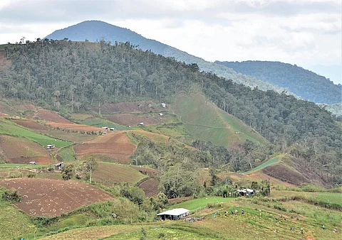 In the Philippine context, the uplands are rolling to steep lands, with slopes ranging upward from 18 percent. | PHOTOGRAPHS COURTESY OF HENRYLITO D. TACIO