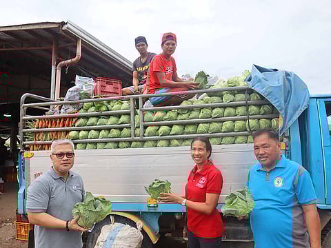 USAID SPEED chief of party Vice Catudio, USAID Philippines deputy mission director Rebekah Eubanks and Nueva Vizcaya Agricultural Terminal general manager Gilbert Cumila hold wombok cabbages from farmer-traders. | PHOTOGRAPH COURTESY OF US EMBASSY