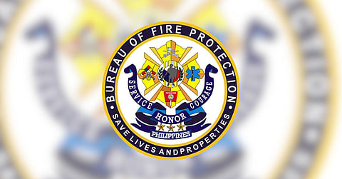 BFP received an unmodified opinion from COA