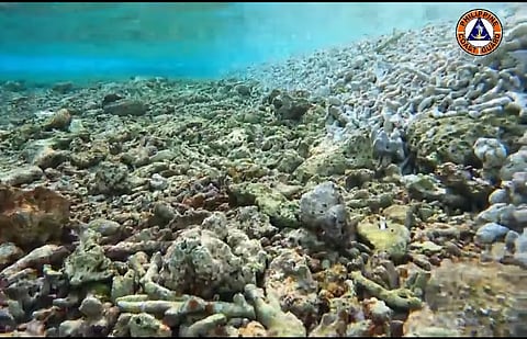 Photo courtesy of The Philippine Coast Guard.