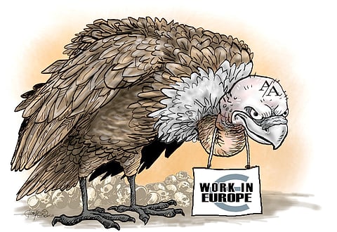 Catch those vultures