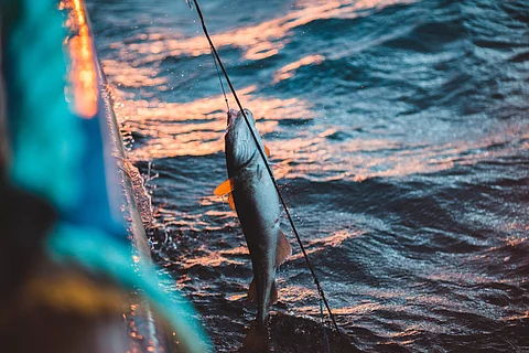 Photo by Erik Mclean on Unsplash