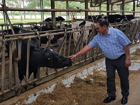 Photograph courtesy of Mayette Tudlas
The author at a cattle farm in Uberaba, Brazil, in 2017.