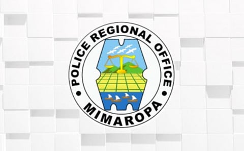 MIMAROPA logs lower crime rate