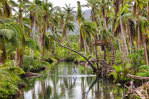 (Photo by Rio Deluvio)