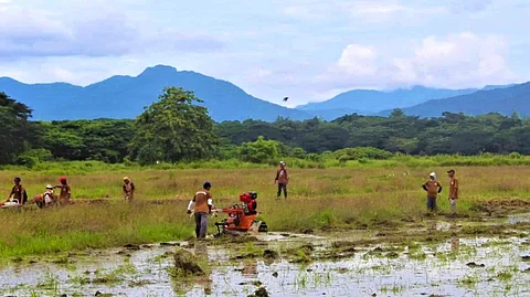 Iwahig Prison and Penal Farm