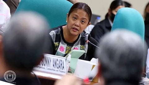 (Photo from Nancy Binay / Facebook)