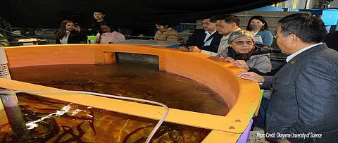 (Photo from Okayama University of Science via INFOFISH / Facebook)