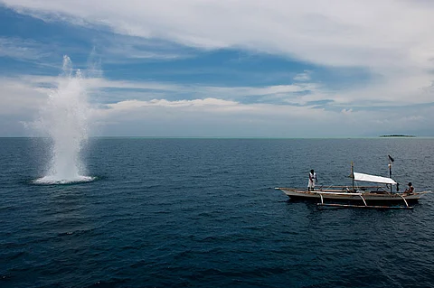 Illegal fishing decreases Central Visayas production