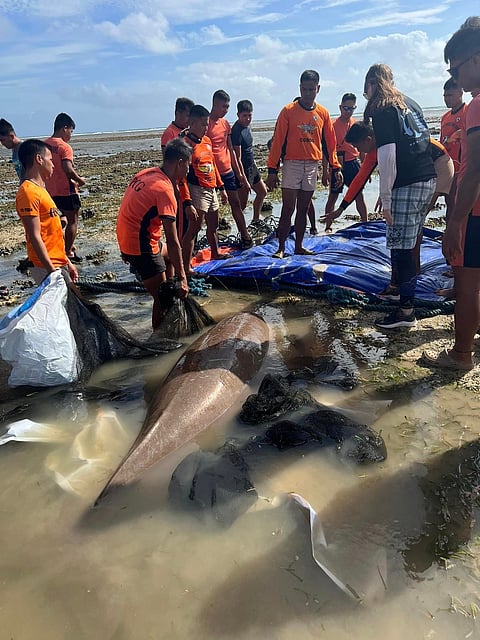 Photograph Courtesy of Maritime Security Law Enforcement Command/fb