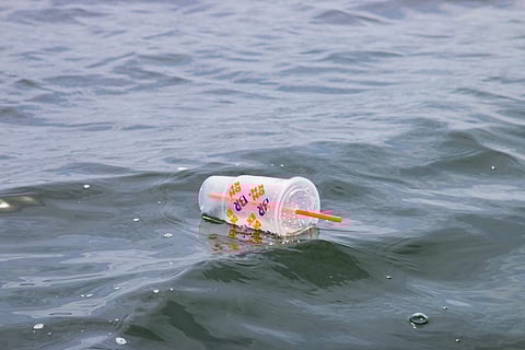 Canada bids farewell to plastic straws, cutlery and checkout bags