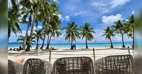 Your caffeine fix may just be a swim away