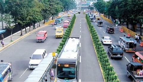 Over 200 Cebu earth-balled trees die