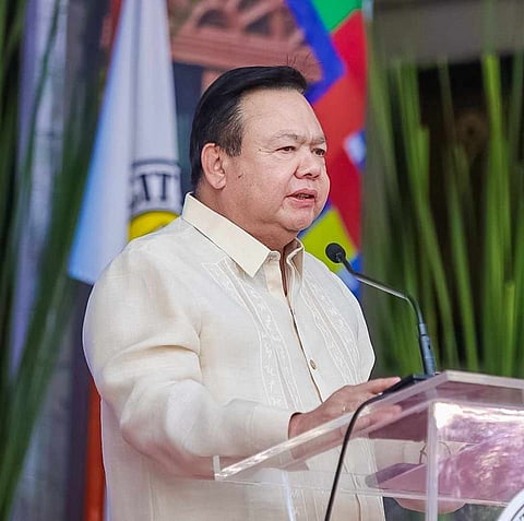 Iloilo City mayor bags top performer plum