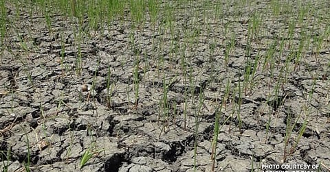 DA: Luzon west, midsection most likely to be hit by first quarter El Niño