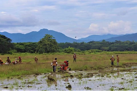 Marcos: half of farm-to-market road program completed