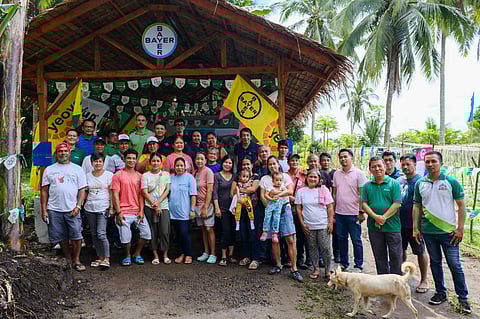 Bayer Kubo program helps small farmers