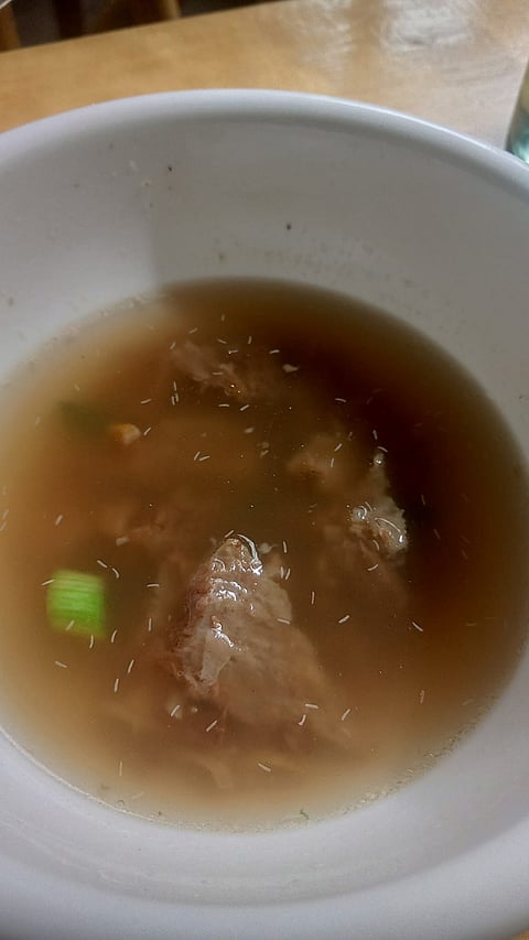 Upon closer inspection, it can be seen that the larvae are floating in the bulalo soup, which emerged from the beef meat after it was sliced. | Photo by Karl Jarre Buyante.
