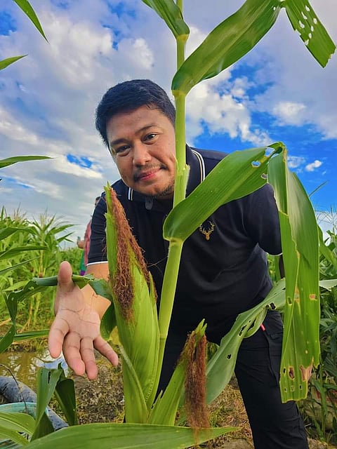 Photo from Amparo's Facebook page