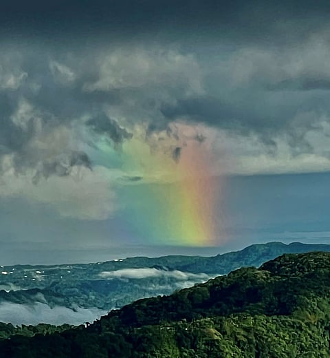 ‘A Rainbow's Magic’ (photograph, 2023).