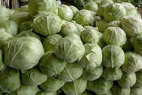 Benguet veggie traders, farmers grateful to Taytay mayor for easing oversupply burden