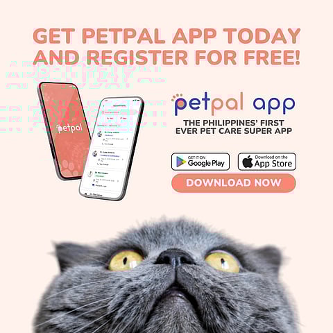 PetPal’s goal is to make high-quality pet care accessible to every pet owner in the Philippines.(PHOTOGRAPH COURTESY OF 917 VENTURES)