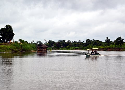 Why it’s vital to save our wetlands