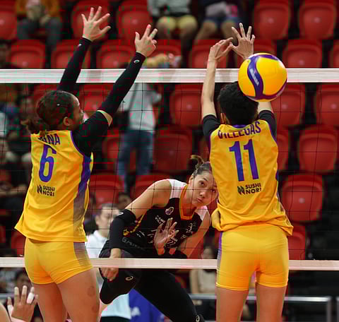 Photograph by Joey Sanchez Mendoza for the Daily Tribune @tribunephl_joey
The spike of Chinnie Arroyo of Farm Fresh penetrates the Capital1 defense in the PVL All-Filipino Conference on Thursday. The Foxies won, 25-16, 25-18, 25-16.