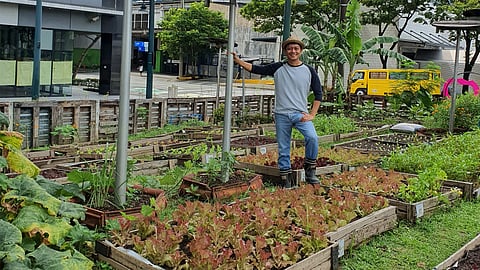 CARLOS Alcaraz protects himself as he gets attacked by swarming bees during his quarterfinal clash with Jannik Sinner in the Indian Wells ATP-WTA Masters. | PHOTOGRAPH COURTESY OF THE ATHLETIC/TWITTER