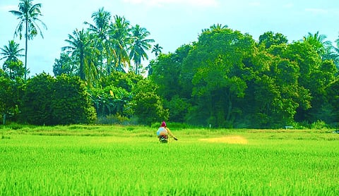Fertiliser security is food security, and BRICS offers India a way to strengthen both