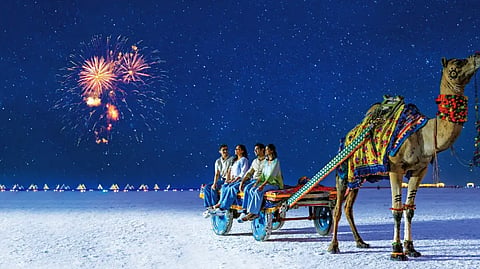 India’s Best Nocturnal Escapes: Stargazing, Fireflies And Glowing Beaches