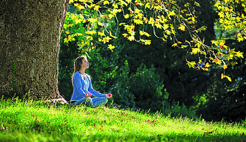 The Holy Hoax of Final Enlightenment