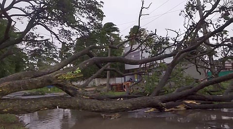 Cyclone Arnab