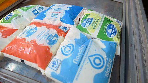 Karnataka hikes Nandini milk price by Rs 8 per litre from November 1