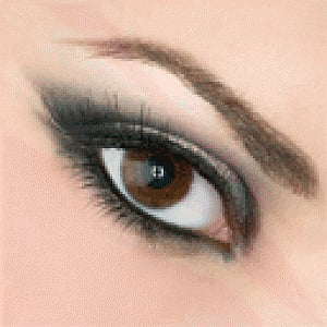 Blood vessels in eye may determine IQ