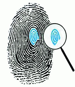 Career in Criminology