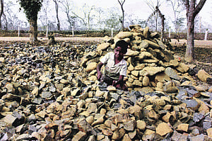 'Make country child-labour free'