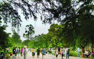Groundswell of demand for DU language courses