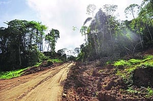 MoEF clears NHAI project roadblocks