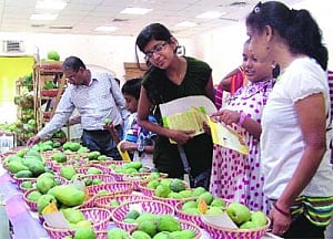 Dilli Haat hosts tribute fest for king of fruits